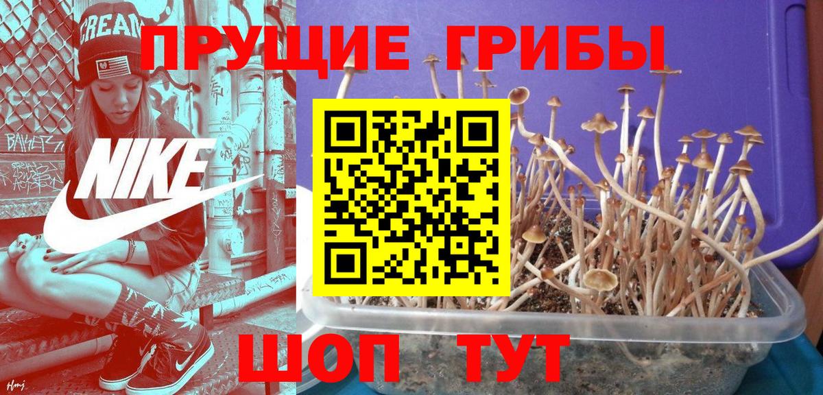 Псилоцибиновые грибы Magic Shrooms Долгопрудный